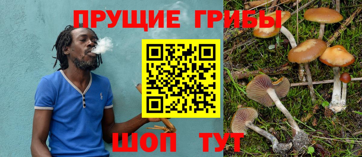 Псилоцибиновые грибы ЛСД  Вход с VPN  Курган 